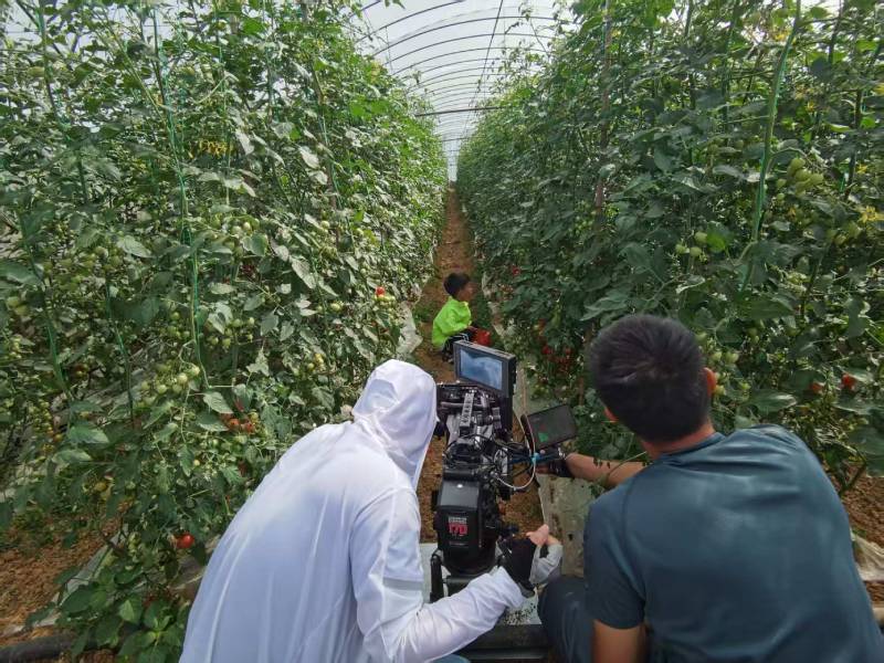 隆回县产品宣传视频拍摄公司进阶指南，助力品牌抢占传播高地